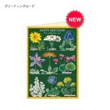 【cavallini（カバリーニ）】新柄が加わりました