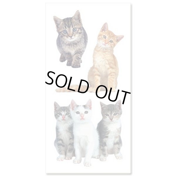 画像1: PaperHouse ペーパーハウス ダイカットステッカー [ベビーキャット] ST-2124RTE 【標準小売価格：350円】 (1)