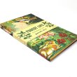 画像2: CHRONICLE BOOKS クロニクルブックス ナタリーレテ ノートブック 2冊セット / フォレストライフ 【標準小売価格：2,660円】 (2)