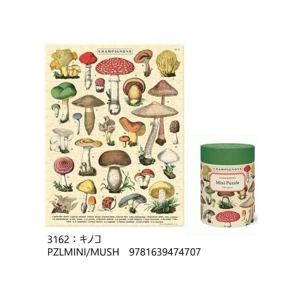 画像3: CAVALLINI カバリーニ　ミニパズル 240ピース  【標準小売価格：2,800円】 (3)