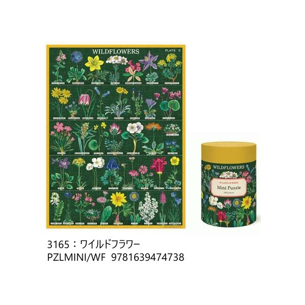 画像6: CAVALLINI カバリーニ　ミニパズル 240ピース  【標準小売価格：2,800円】 (6)